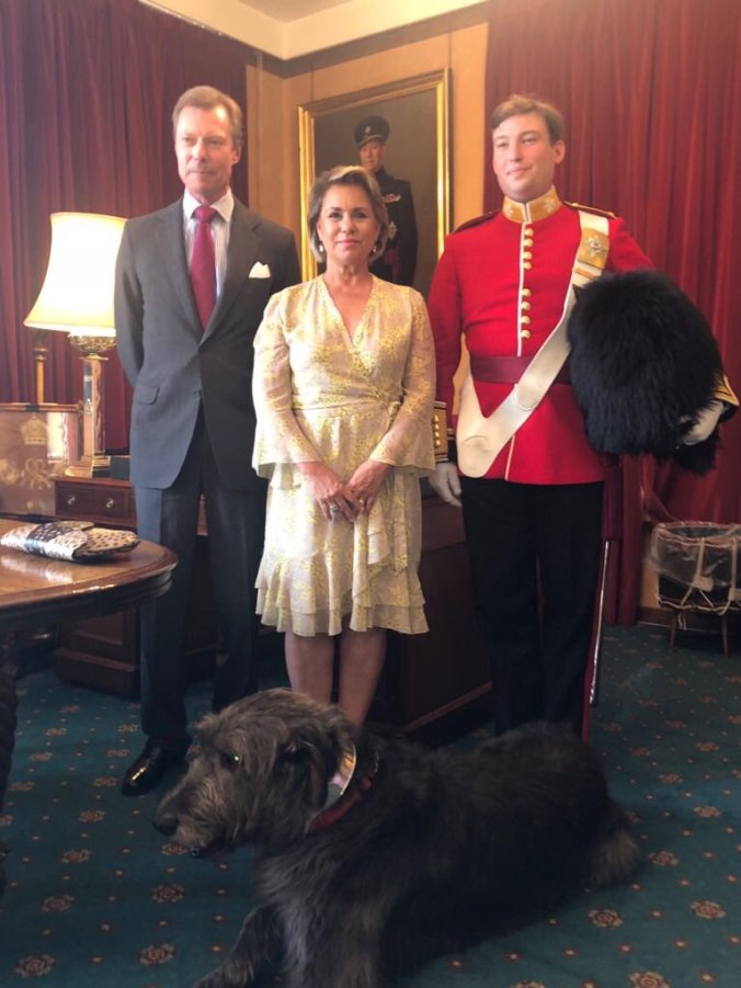 shock 4 maria teresa