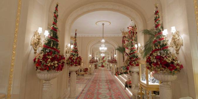 Christmas-trees-in-lobby