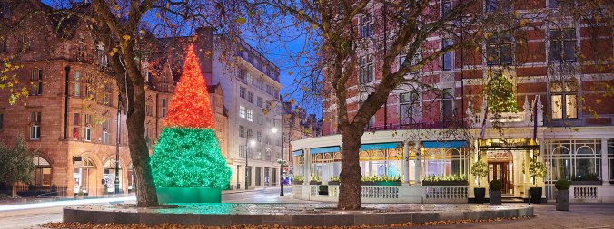 christmas-tree-2018-connaught 2