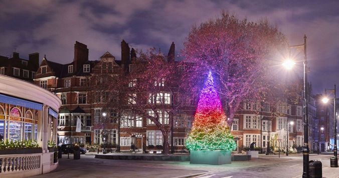 christmas-tree-2018-connaught 3