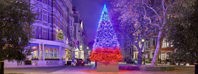christmas-tree-2018-connaught