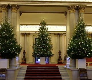 christmas tree buckingham palace 2018