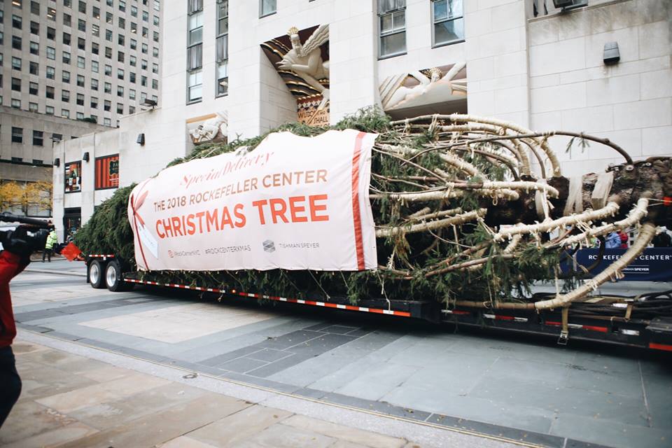 rockefeller center tree
