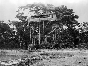 treetops lodge queen elizabeth