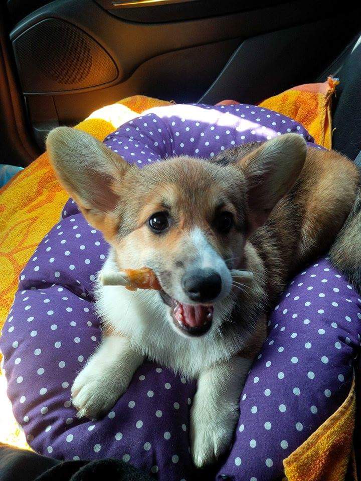 FB_IMG_1499741739587