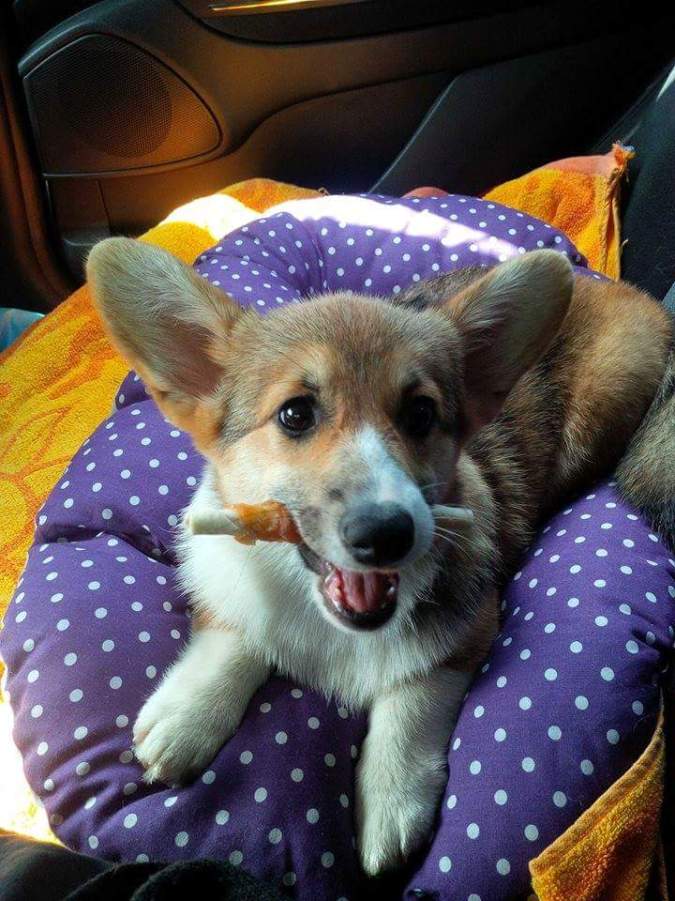 FB_IMG_1499741739587