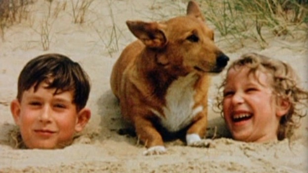 charles anne corgi beach