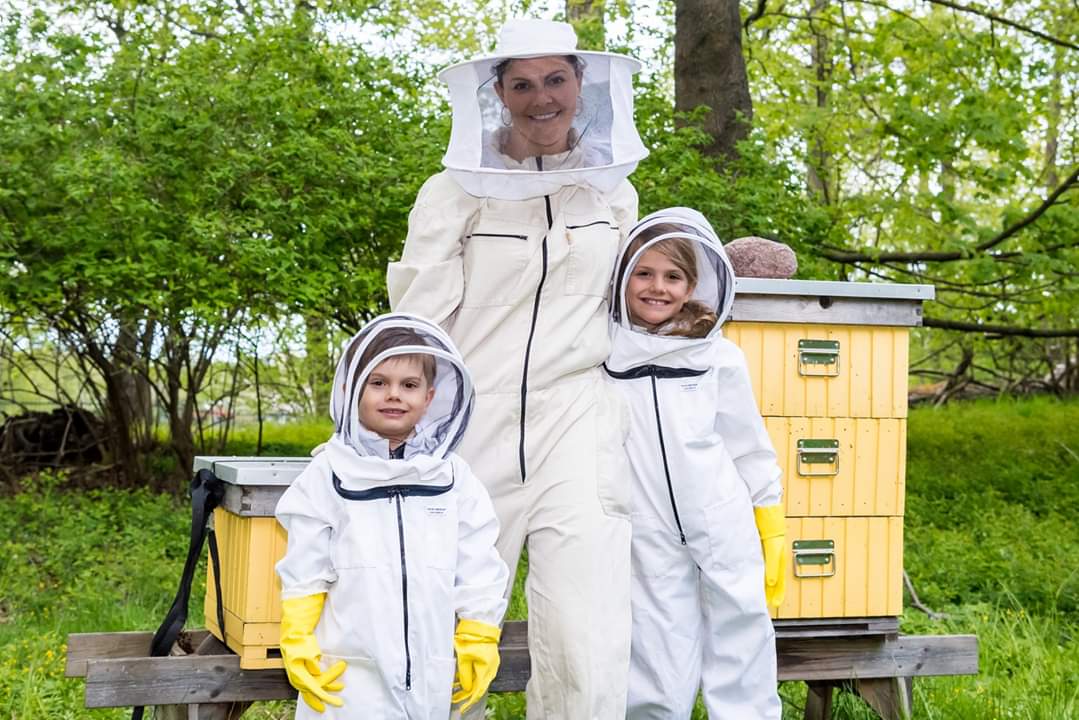 FB_IMG_1590001212443